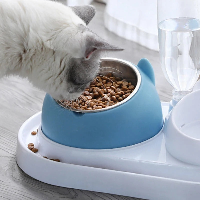 Tigela com Inclinação Para Gato