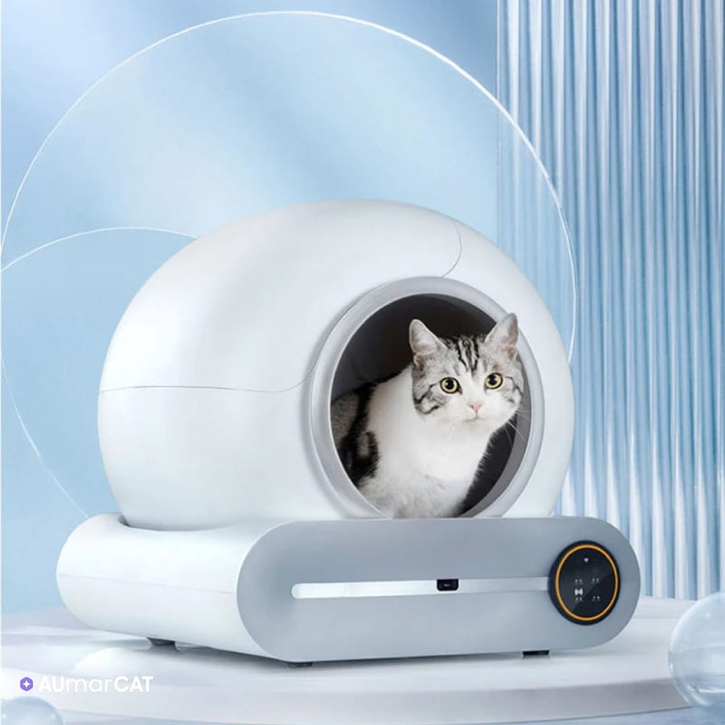 Caixa de Areia Automática para Gatos com Inteligência Artificial e Aplicativo para Controle Remoto - Com um fundo futurista azul, caixa de areia na frente e um gato dentro da caixa de areia automatica - Aumarcat