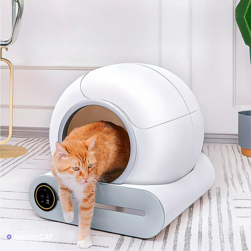 Caixa de Areia Automática para Gatos com Inteligência Artificial e Aplicativo para Controle Remoto - o gato saindo da caixa de areia automática que está na sala - Aumarcat