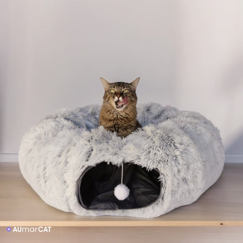 Cama de Túnel Multifuncional NinhoCave™ - um gato mostrando a lingua sentado na parte de cima da caminha - Aumarcat