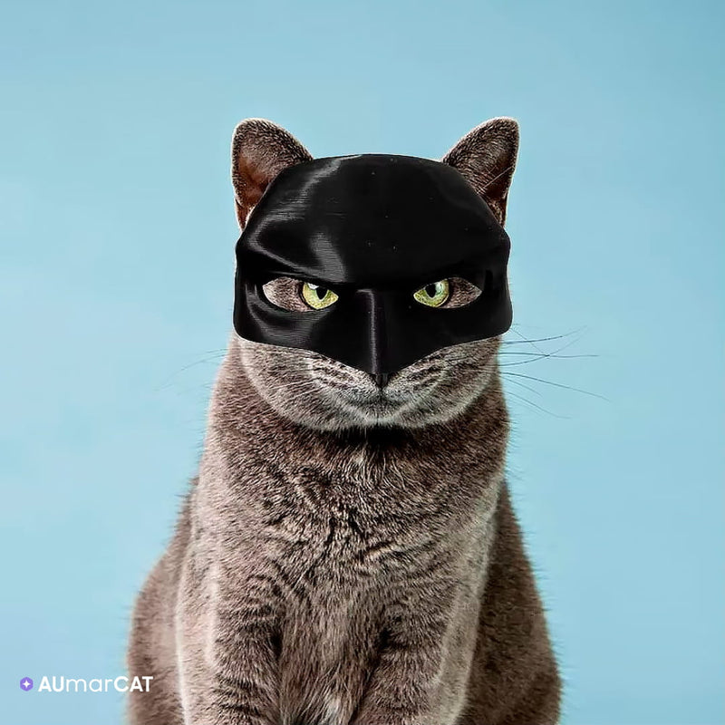 Máscara de Super-Herói Batman para Gatos BatCat - um gato cinza com um fundo azul de estúdio usando a Máscara de Super-Herói Batman preta - Aumarcat]