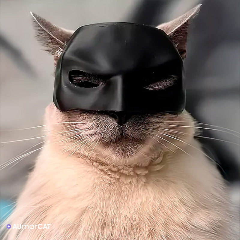 Máscara de Super-Herói Batman para Gatos BatCat - Um gato branco acinzentado usando a Máscara de Super-Herói Batman preta - Aumarcat]
