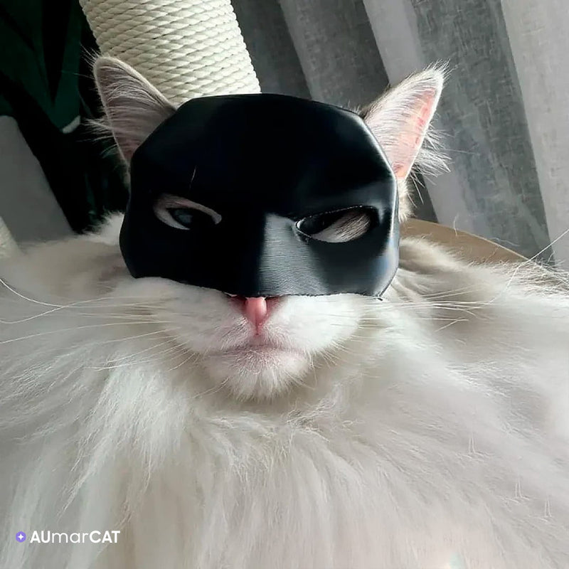 Máscara de Super-Herói Batman para Gatos BatCat - Um gato branco usando a Máscara de Super-Herói Batman preta - Aumarcat]