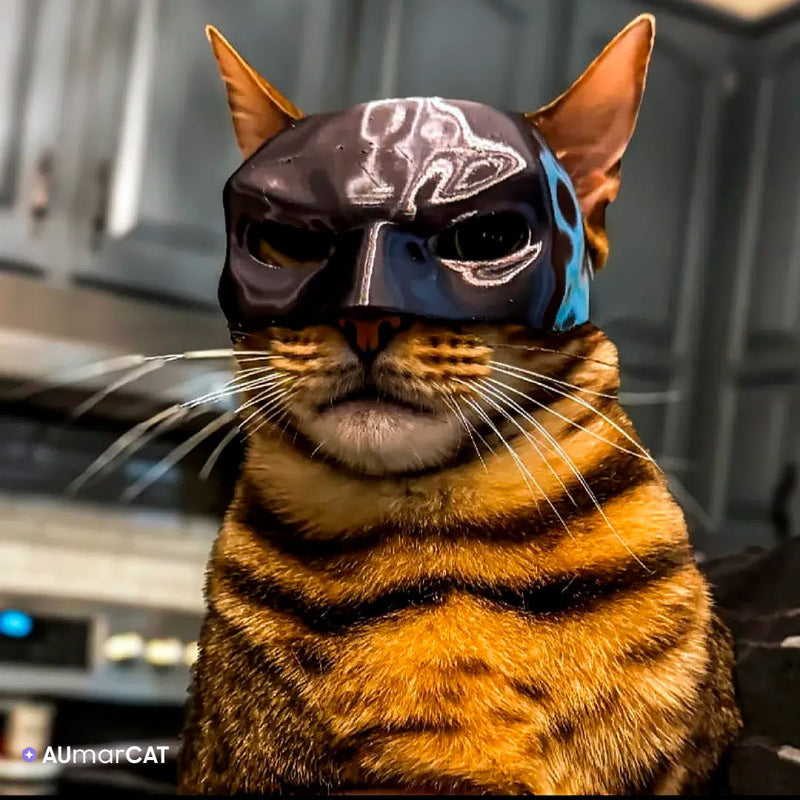 Máscara de Super-Herói Batman para Gatos BatCat - Um gato tigrado usando a Máscara de Super-Herói Batman preta - Aumarcat]