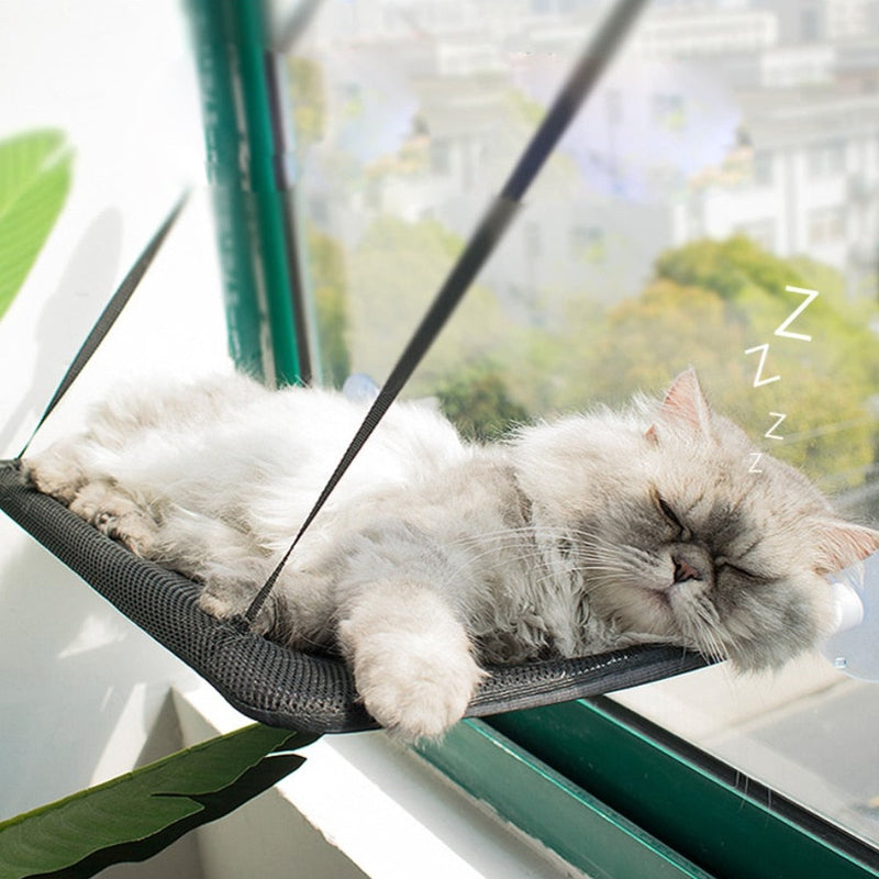 Caminha Suspensa Soft Para Gato